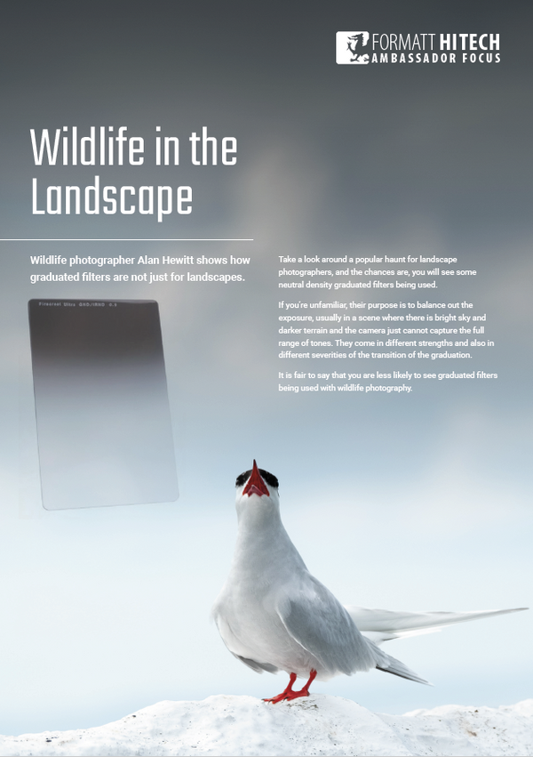 Wildlife in the Landscape - Formatt-hitechUK